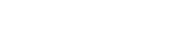 raidenintl.com
