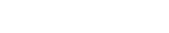 raidenintl.com