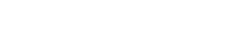 raidenintl.com