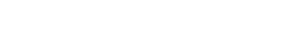 raidenintl.com