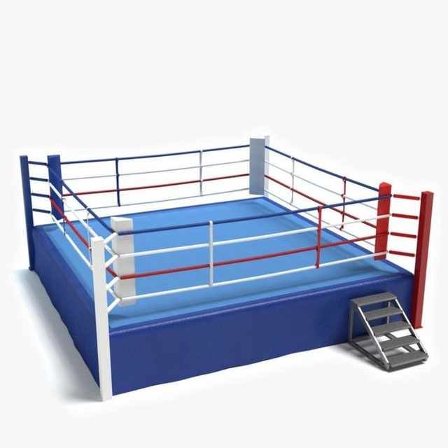 Custom boxing ring example